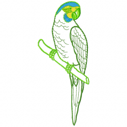 Parrots Embroidery Design 8